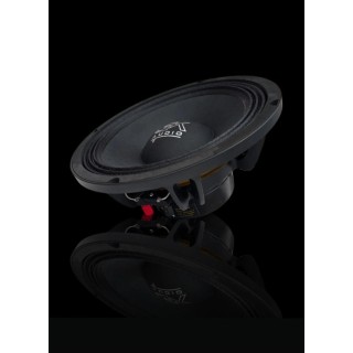 GK AUDIO NEO 10