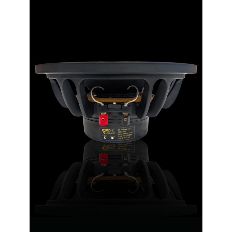 GK AUDIO NEO 10
