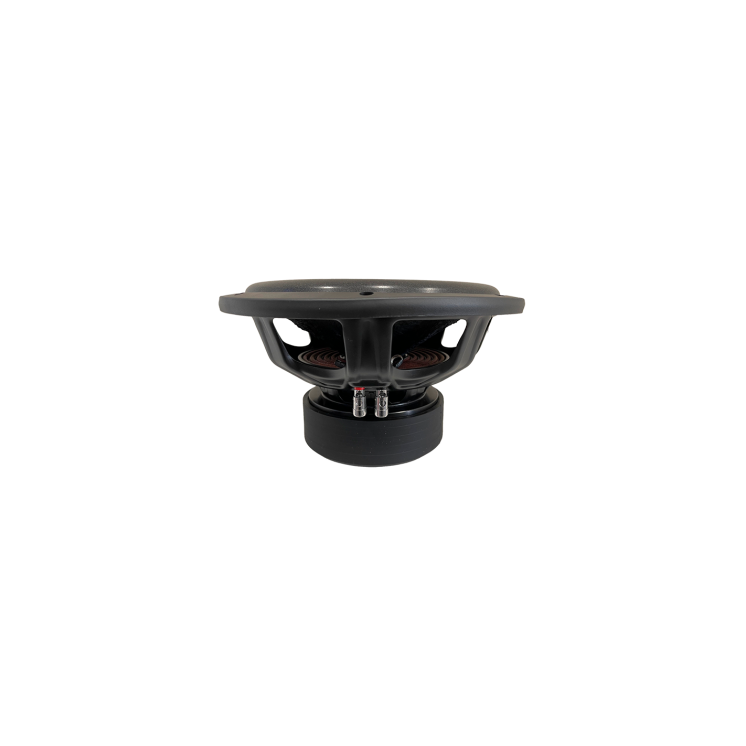 CHESS AUDIO SBB 1222
